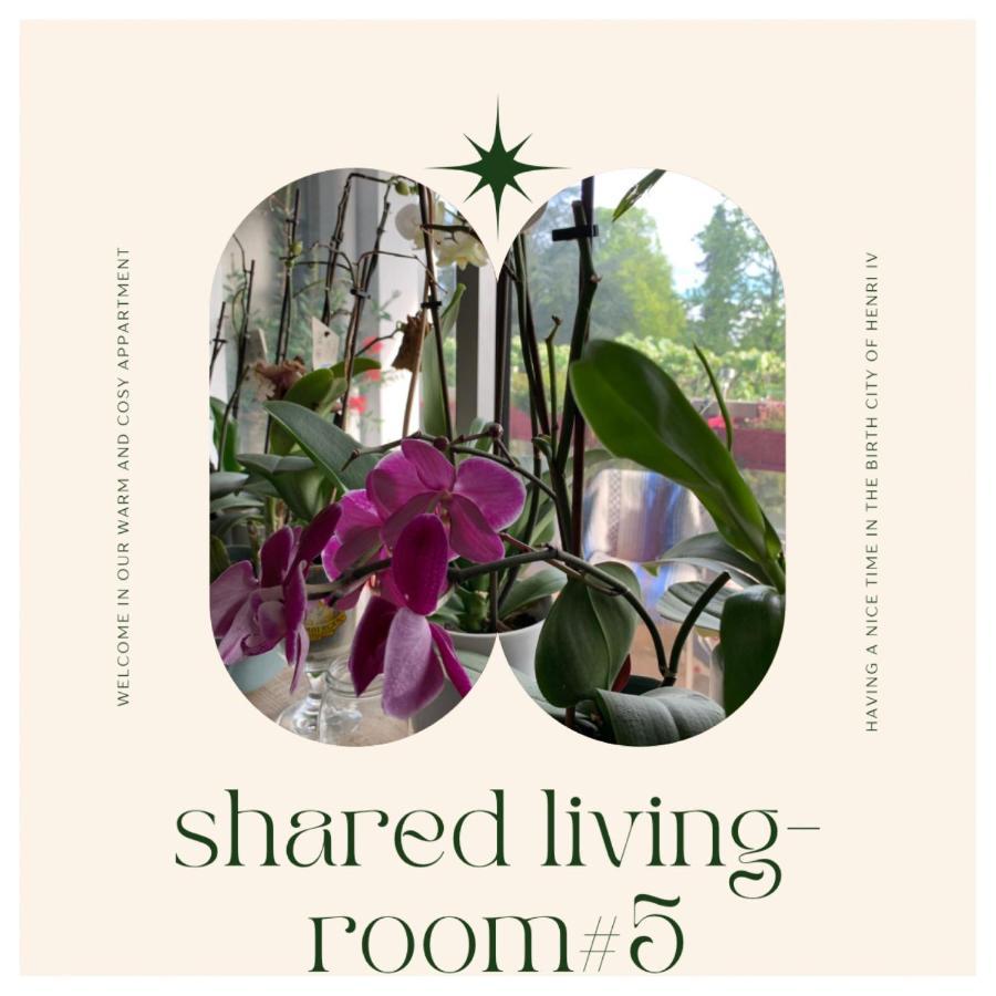 Chez Ramses Et Richelieu Bed & Breakfast Pau Luaran gambar