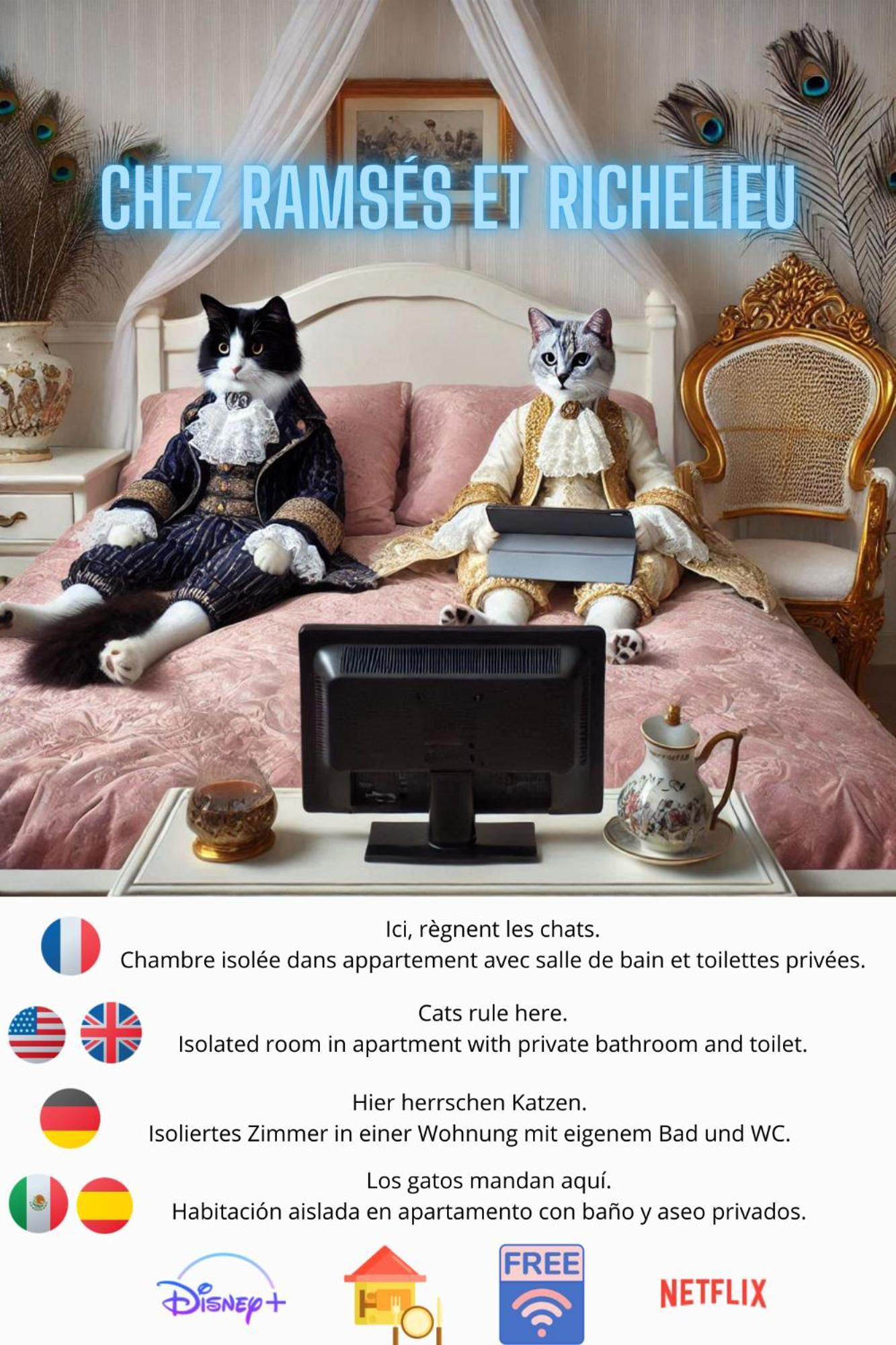 Chez Ramses Et Richelieu Bed & Breakfast Pau Luaran gambar
