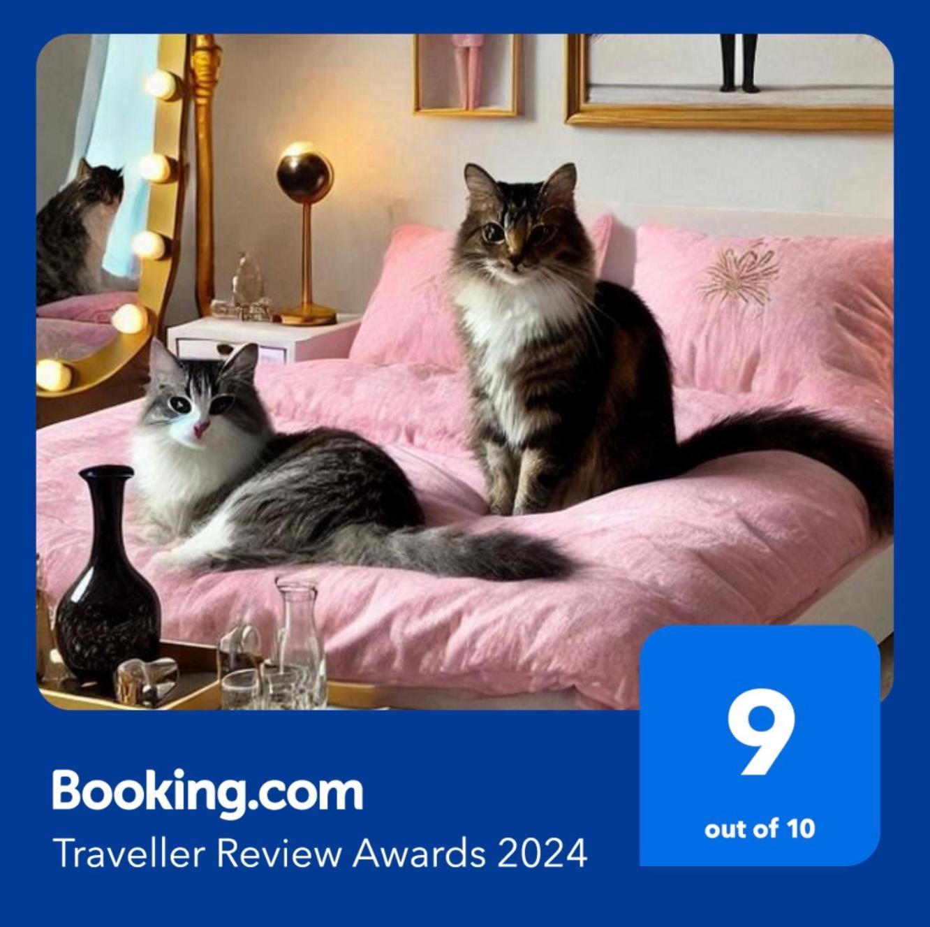 Chez Ramses Et Richelieu Bed & Breakfast Pau Luaran gambar